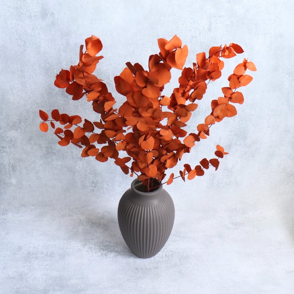 Eukalyptus Stuartiana stabilizovaný – orange, trvanlivá dekorace do aranžmá, věnců a kytic